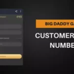 Big Daddy Apk Customer Care Number